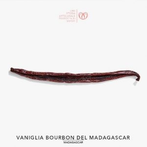 Vaniglia Bourbon del Madagascar