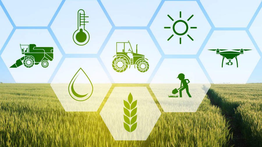 Featured image for “Confagricoltura: attori del cambiamento per il futuro agricolo”
