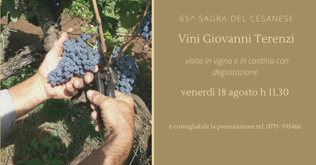 Featured image for “65ª Sagra del Cesanese”