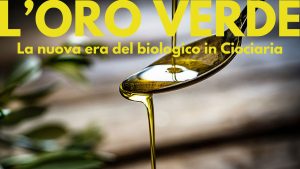 Frantoio Cerquozzi la nuova era del biologico in Ciociaria