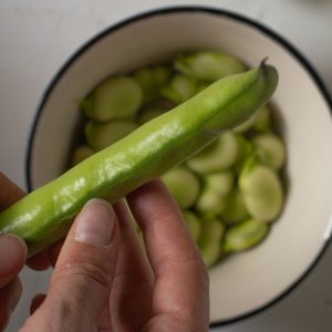 Insalata tiepida di orzo, fave fresche, zucchine e menta