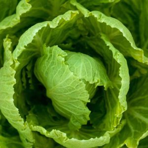 Foglia di lattuga con hummus e verdure