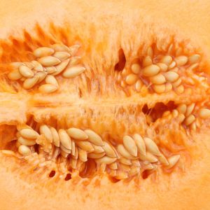 Latte di semi di melone: la bevanda antispreco che sorprende