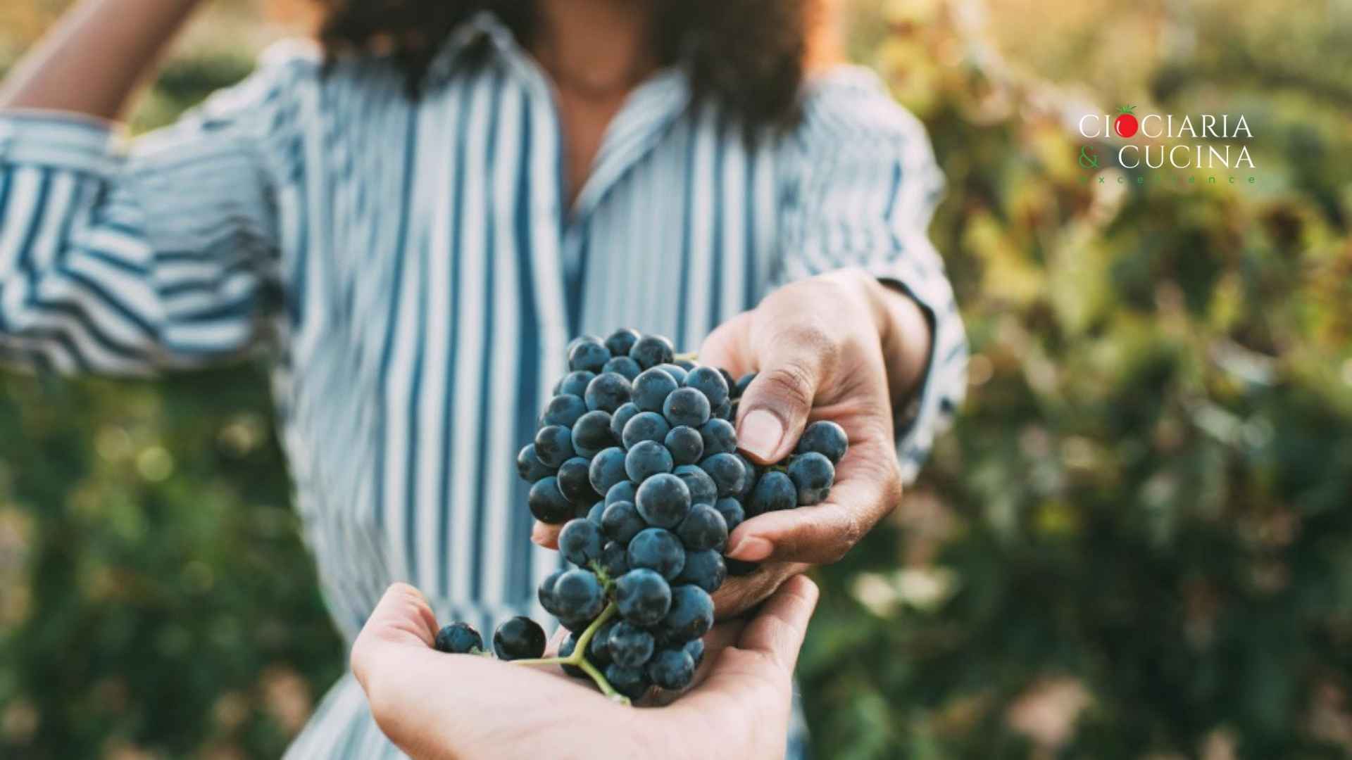 Eventi nei borghi della Ciociaria