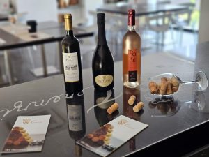 Etichette vini giovanni terenzi