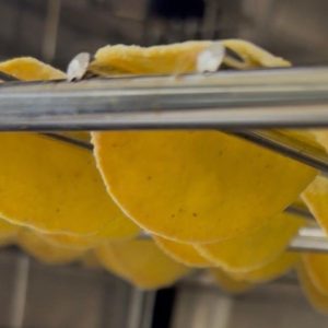 Tacos di salsiccia con broccoletti e fonduta di scamorza affumicata