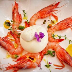 Crudo di gambero viola e burrata