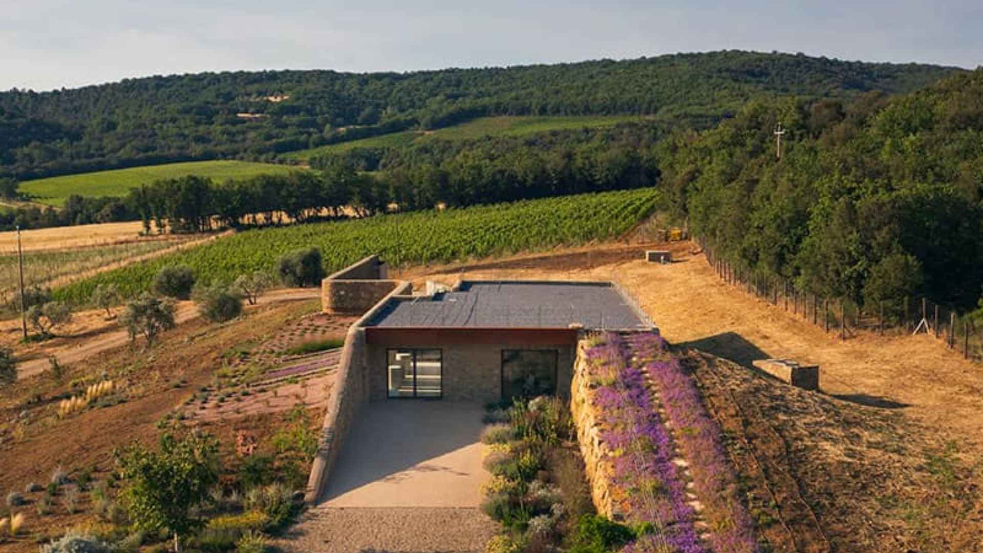 Giodo Brunello di Montalcino, l’eleganza secondo Carlo Ferrini