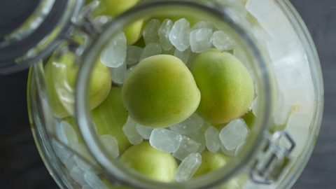 La fermentazione non va in vacanza: frutta e pomodori verdi in salamoia