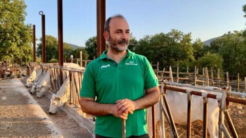 Fattoria Lauretti ad Amaseno: il carattere della carne