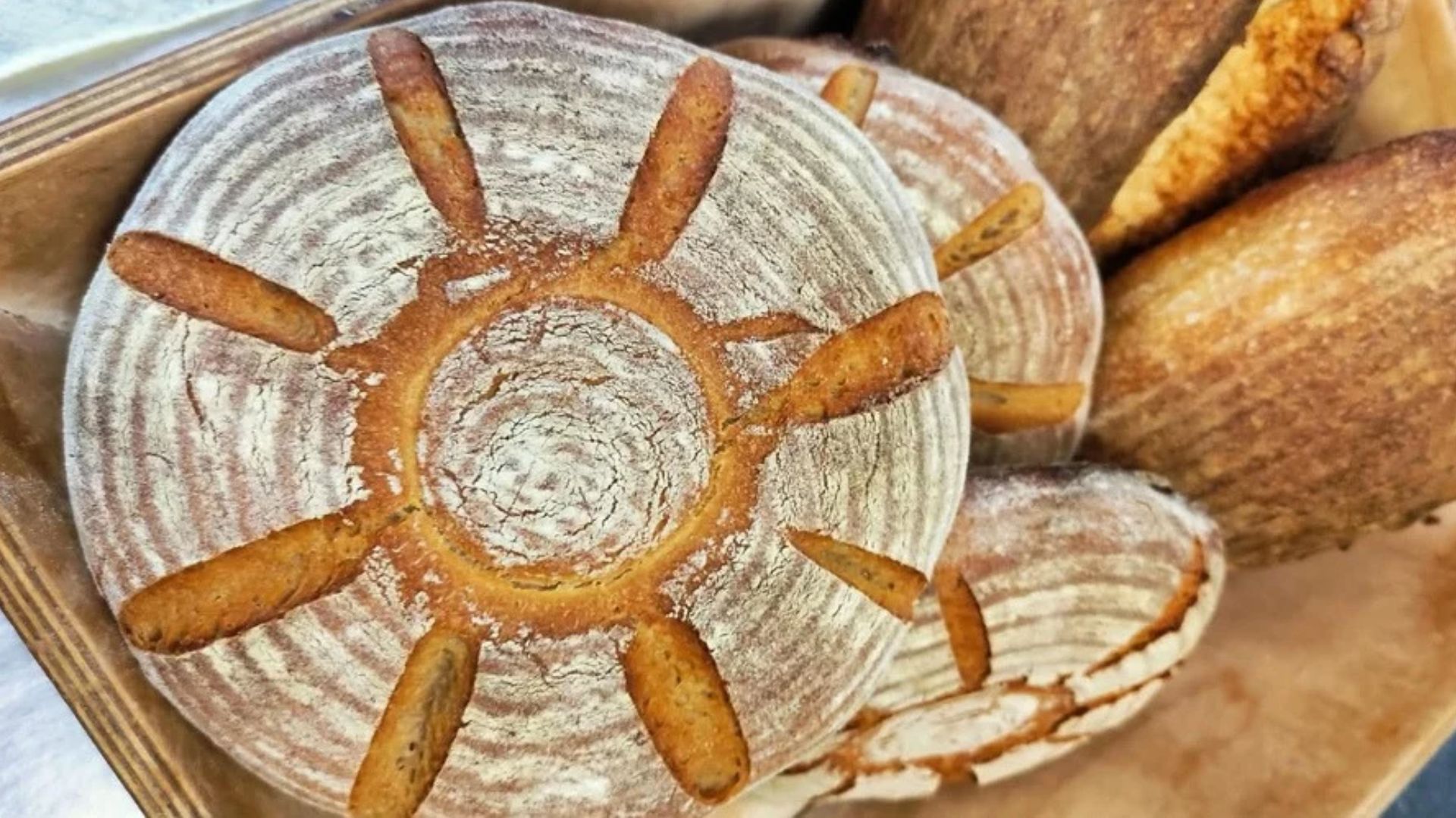 Grani antichi: dal campo al pane, una storia di territorio
