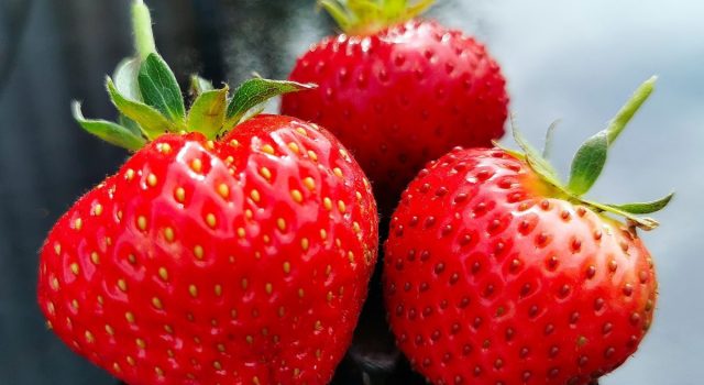 fragole