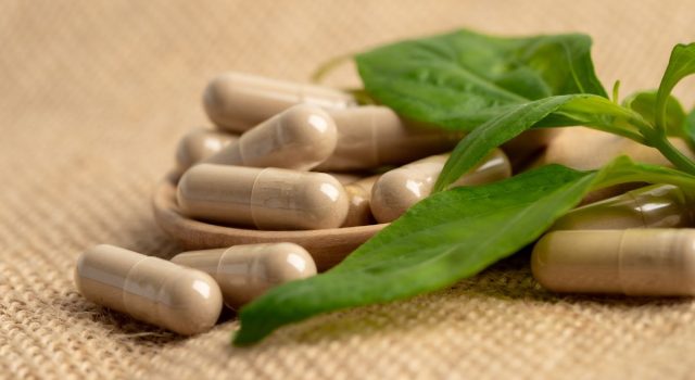 Andrographis un'antica panacea per il benessere