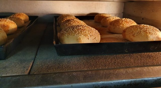 Burger Buns