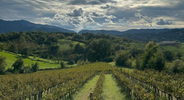 Cabernet di Atina e Maturano i gioielli della Valle di Comino (Seconda Puntata)-