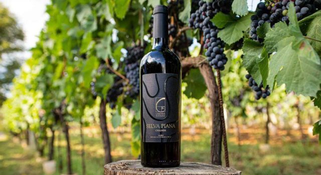 Cantina Monticiana - Vino naturale