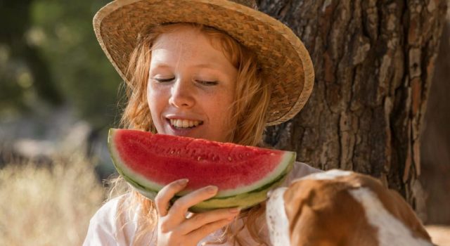 Cibo di stagione di Luglio