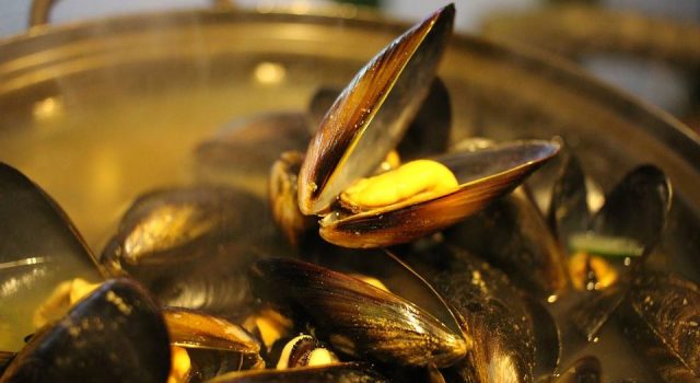 Cozze