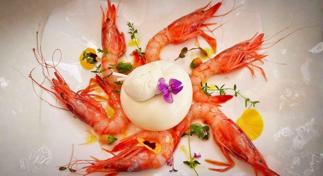 Crudo di gambero viola e burrata
