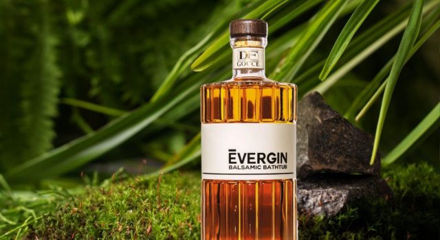 Evergin l'evoluzione del gin artigianale