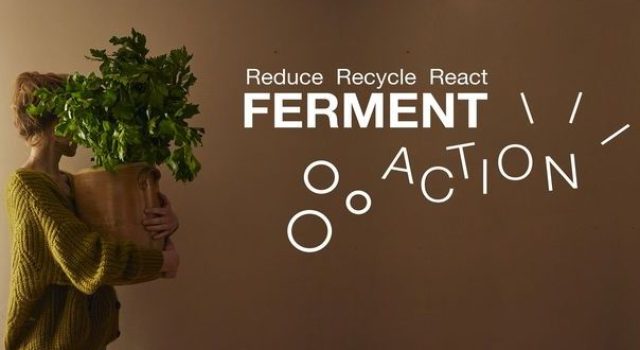 Fermentazione, fonte di Umami