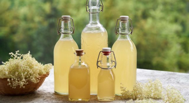 Fermentato di sambuco la ricetta della tradizione