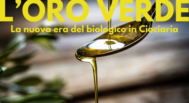 Frantoio Cerquozzi la nuova era del biologico in Ciociaria