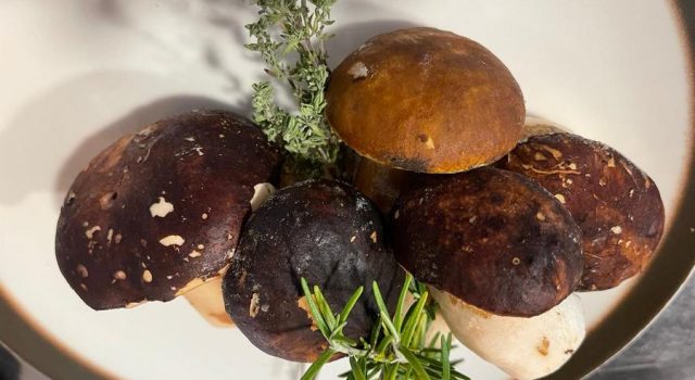Risotto ai funghi porcini