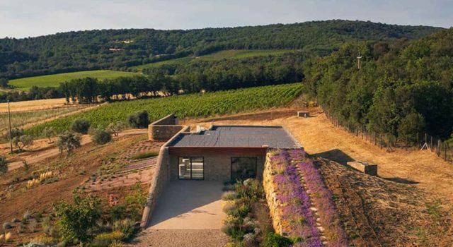 Giodo Brunello di Montalcino, l’eleganza secondo Carlo Ferrini
