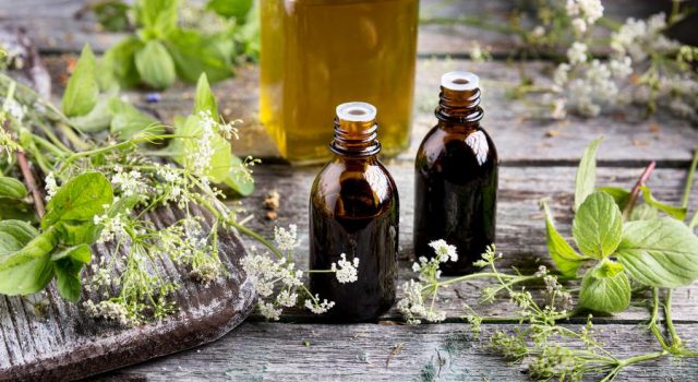 Olio evo nelle fitopreparazioni
