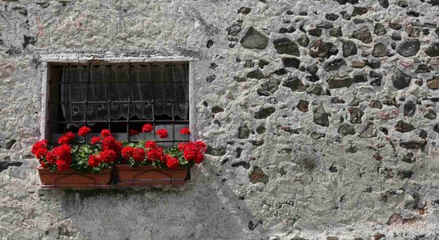 Guarire con i fiori la floriterapia di Edward Bach e il benessere emotivo