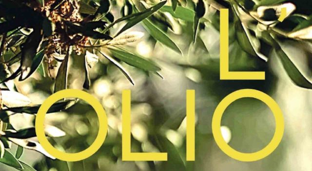 Olea Salus, l’olio che nasce dal tempo (e dall’amore per la terra)