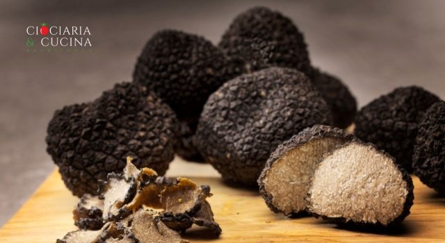 Festa del Tartufo di Campoli Appennino