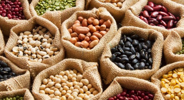 Il legume d’inverno