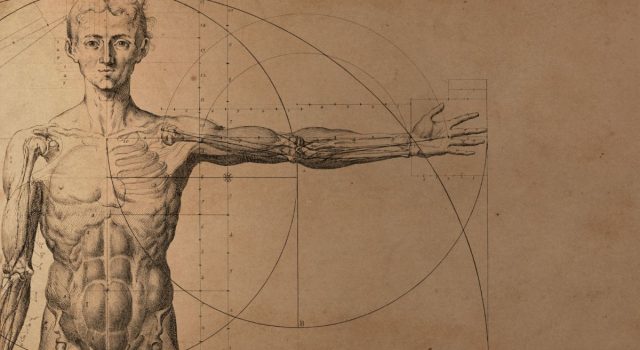 Il maiale didattico