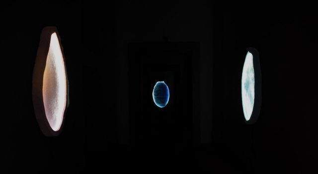 Intervista a Francesco SaverioTeruzzi di Alice Ceccarelli
