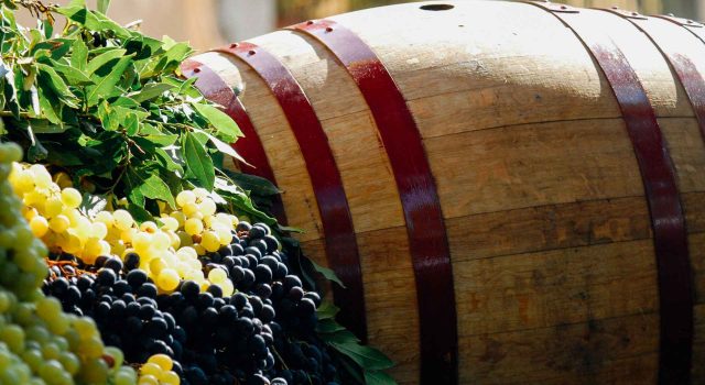 La Strada del Vino a Colli: degustazioni, musica e tradizione