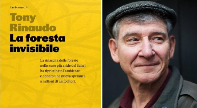 La foresta invisibile