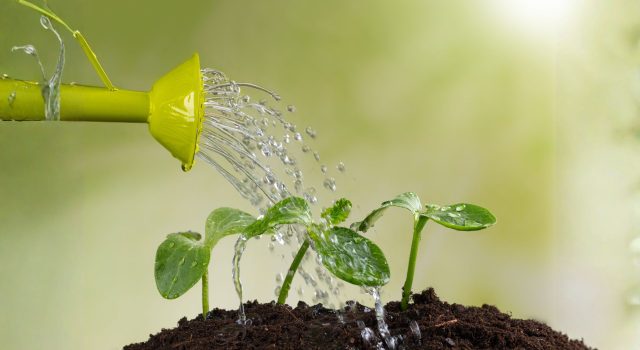 L'acqua che accompagna la vita