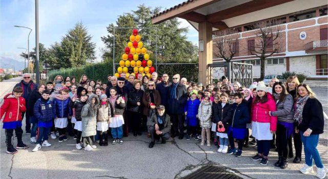 L’albero della Sicurezza a Frosinone