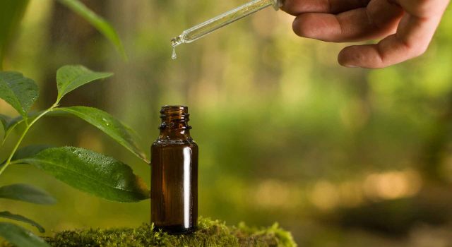 Melatonina il rimedio naturale per contrastare l’invecchiamento del Dr Antonio Colasanti