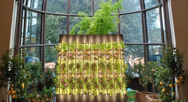 Natura al Flora cult delle Fendi