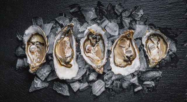Ostriche l'eleganza del mare e la loro sorprendente versatilità in cucina