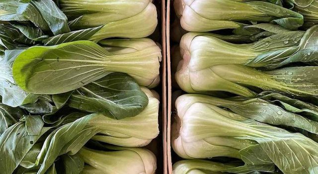 Pak Choi con borlotto e verdurine al vapore