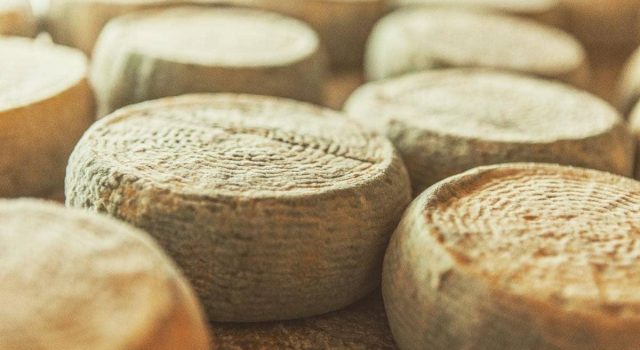 Pecorino di Picinisco DOP: eccellenza della Ciociaria