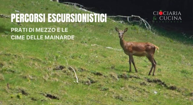 Prati di Mezzo e le cime delle Mainarde