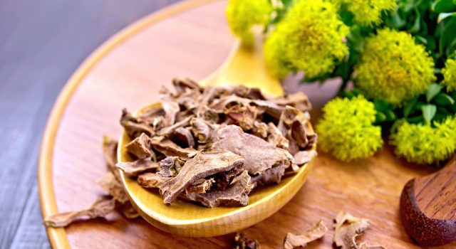 Rhodiola energia e adattamento nei momenti di stress