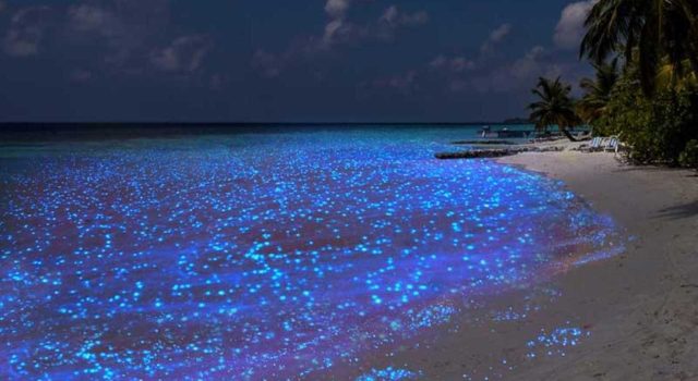 Spiagge da sogno: i luoghi più sorprendenti del mondo