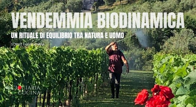 Vendemmia biodinamica
