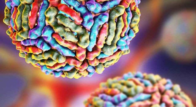 West Nile, tra verità scientifica e allarmismi mediatici di Antonio Colasanti